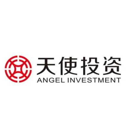 天使投資管理 早期投資的關鍵策略與風險管理